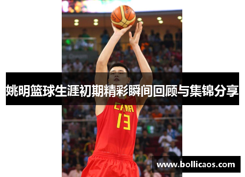 姚明篮球生涯初期精彩瞬间回顾与集锦分享